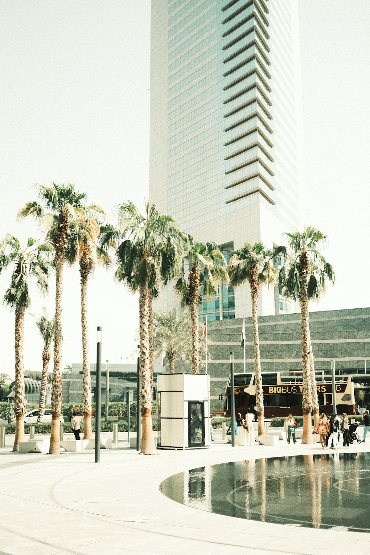 Palm trees and a fountain in front of a tall building