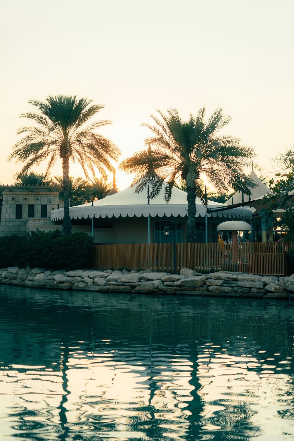 Palm trees, building, and reflections in the water
