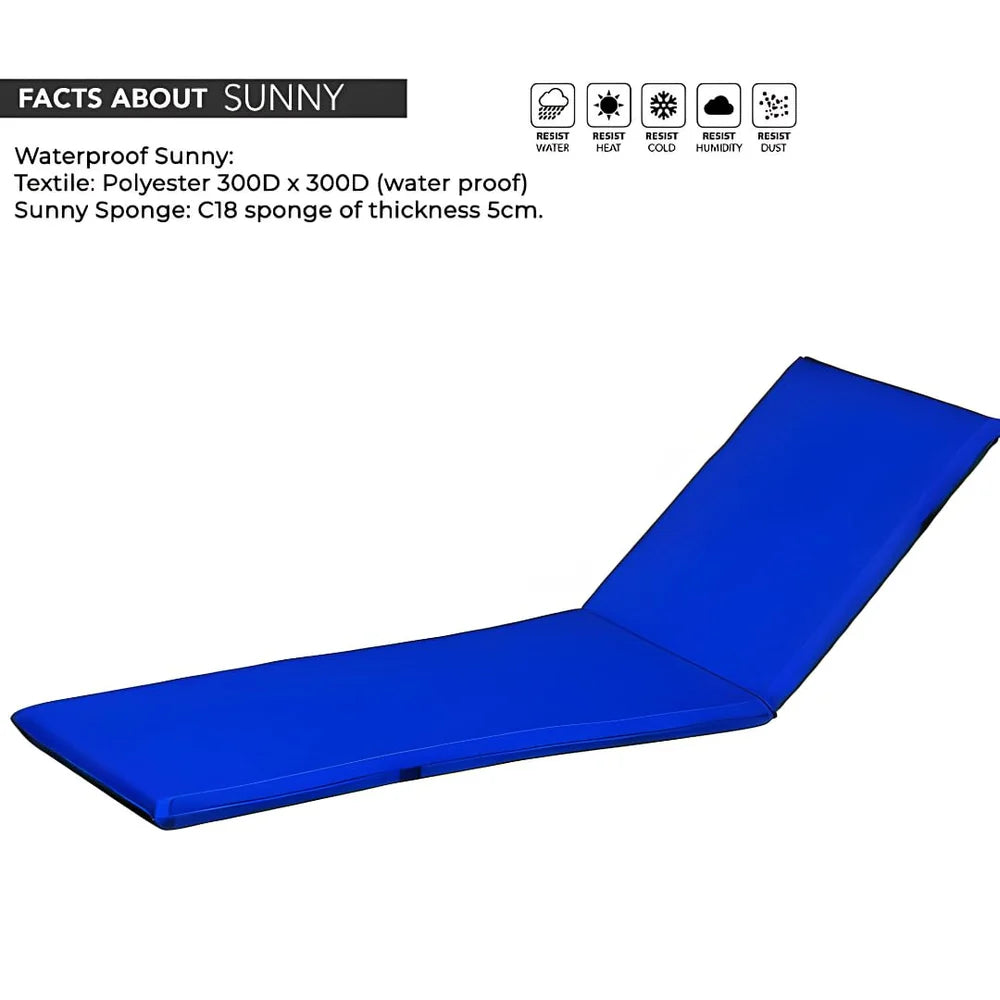 Outdoor Sunbed | Adjustable Backrest | Waterproof Blue Cushion | UV-Resistant Frame